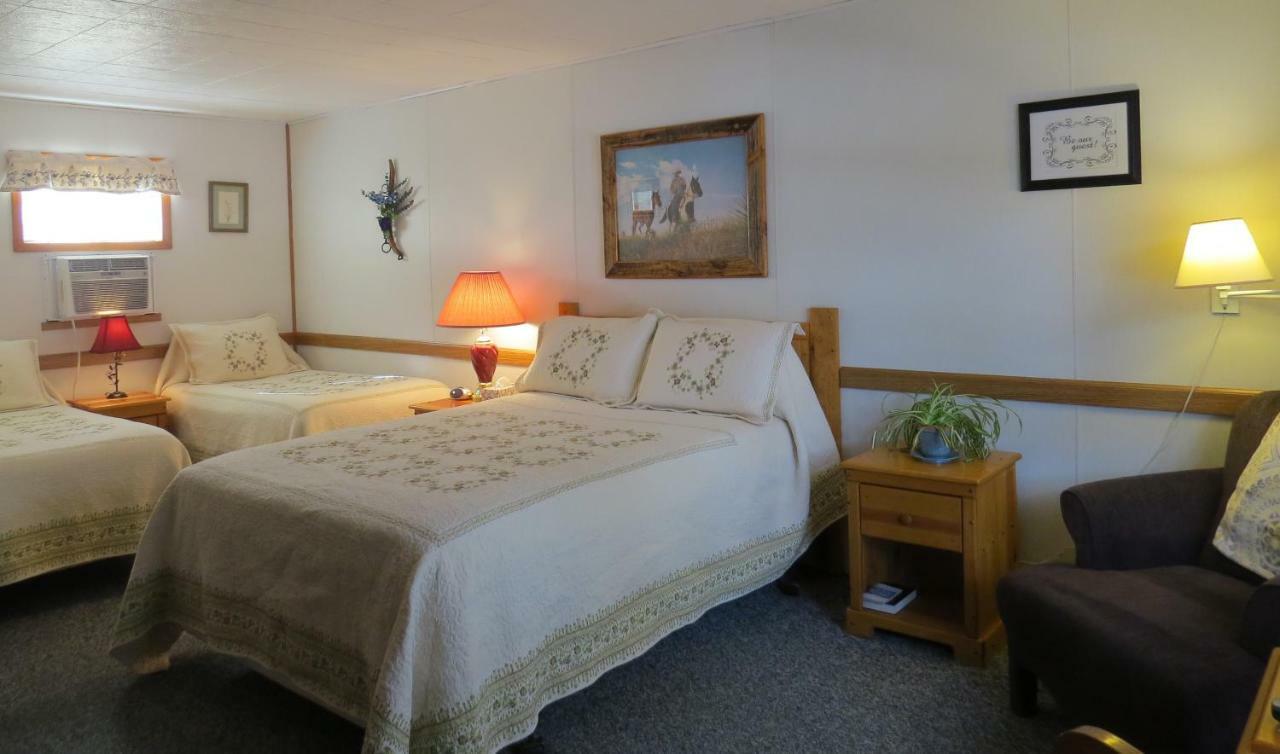 The Pines Country Inn Newcastle Esterno foto